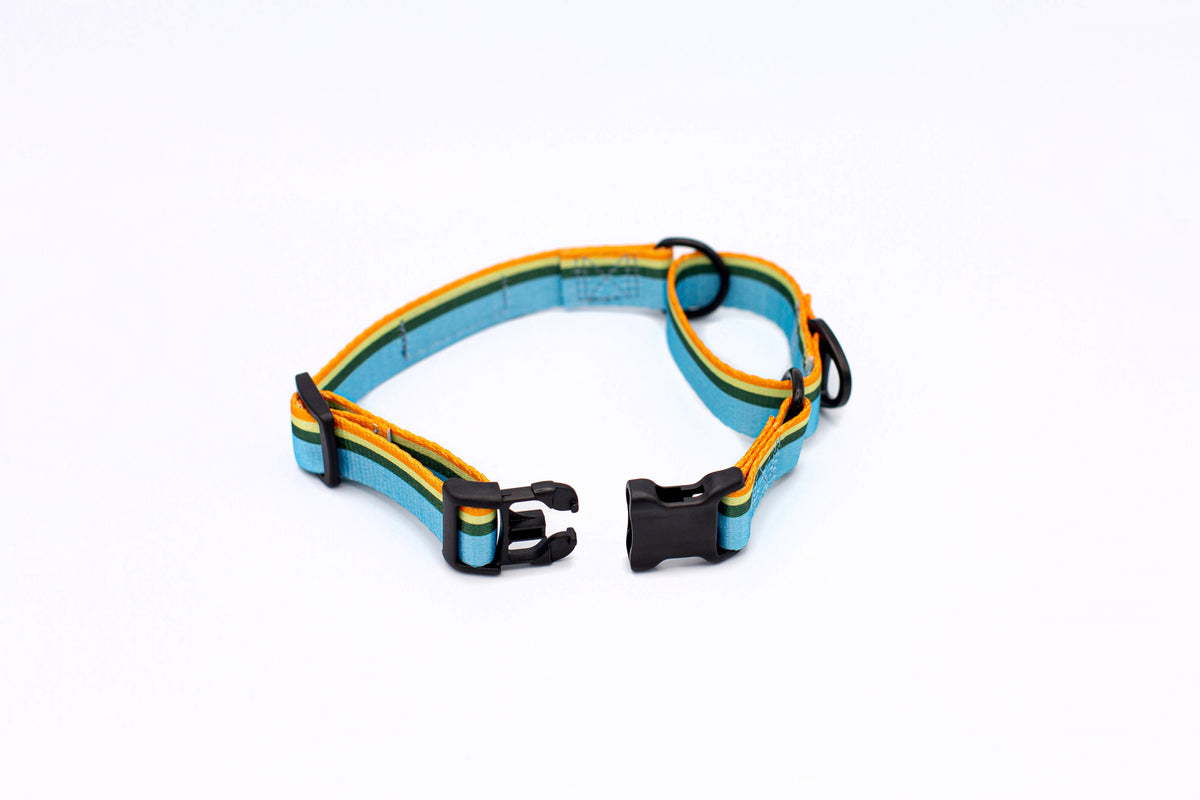 Outdoor Style All Nylon Martingale Collar
