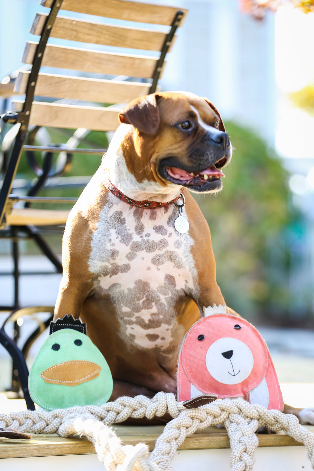 Bitsy Bunny Natural Rope Knottie® Dog Toy, Large (9mm rope diameter)