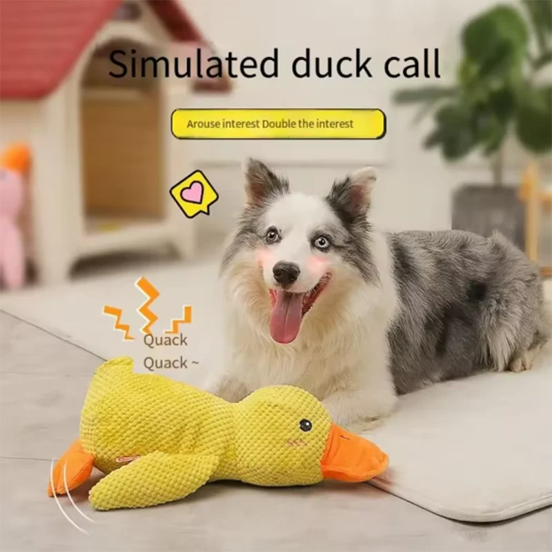 Dog sleeping with a dog hug duck toys to relieve boredom of little yellow duck pet interactive plush doll pet supplies