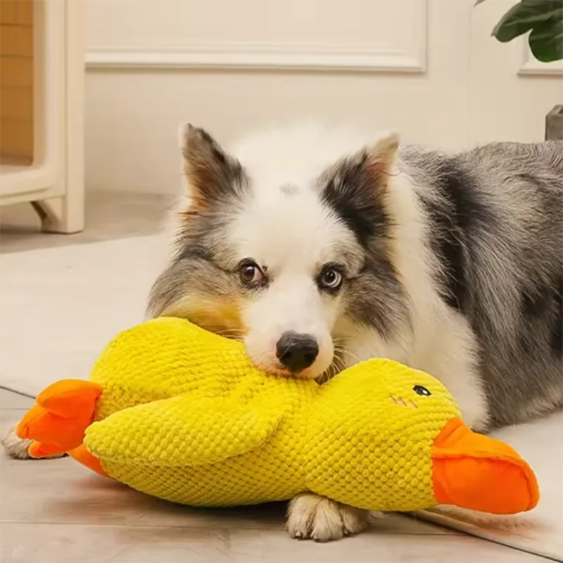 Dog sleeping with a dog hug duck toys to relieve boredom of little yellow duck pet interactive plush doll pet supplies
