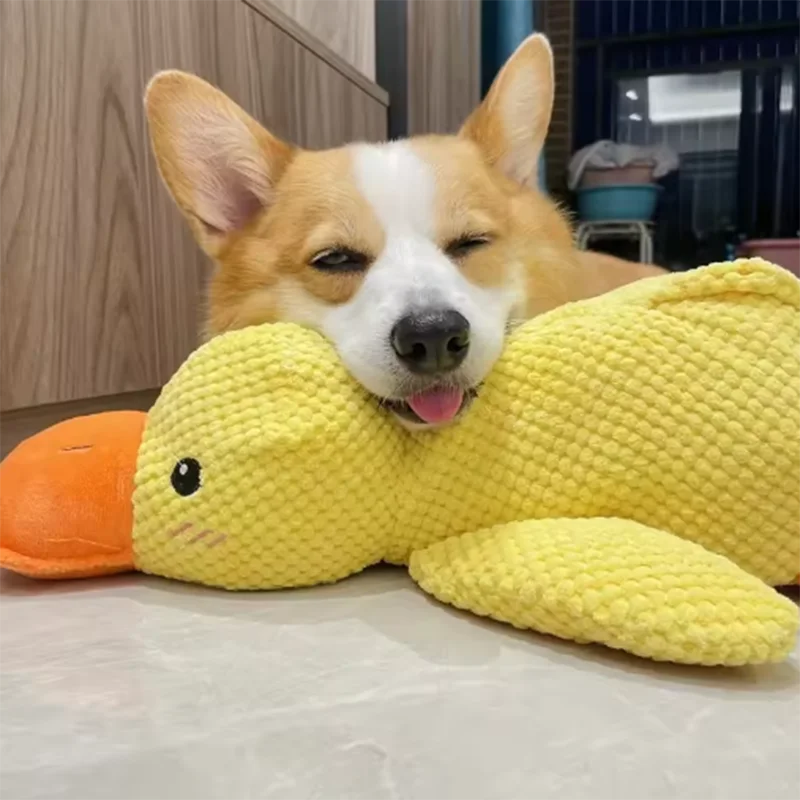Dog sleeping with a dog hug duck toys to relieve boredom of little yellow duck pet interactive plush doll pet supplies