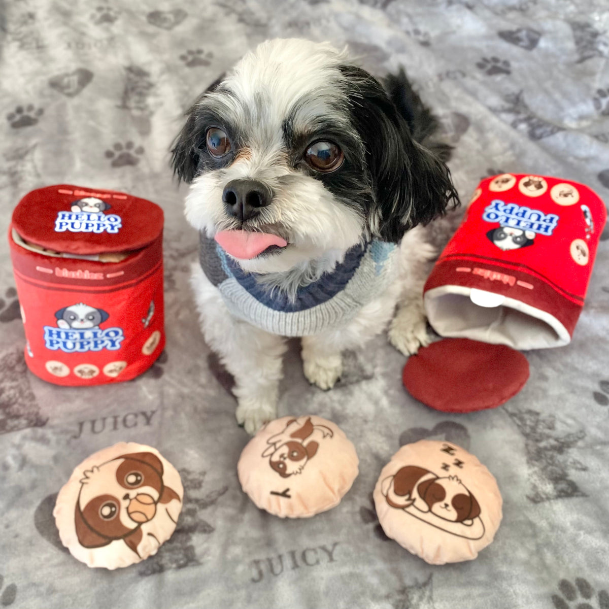 Hello Puppy 4 Piece Dog Toy