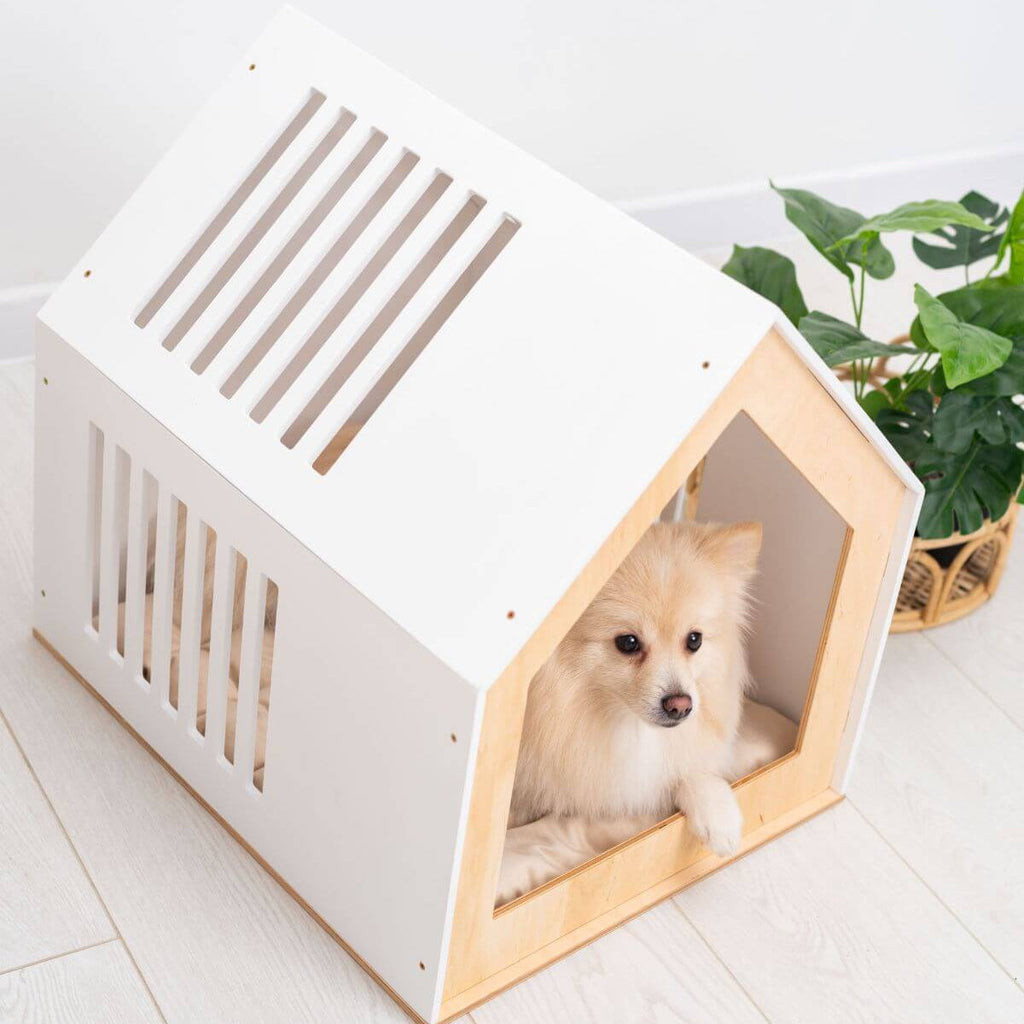 Modern Indoor Dog House