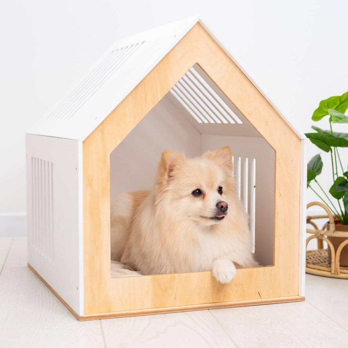 Modern Indoor Dog House
