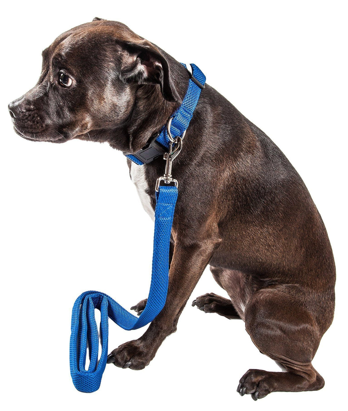 Pet Life ® 'Aero Mesh' 2-In-1 Breathable and Adjustable Dual-Sided Mesh Dog Leash and Collar
