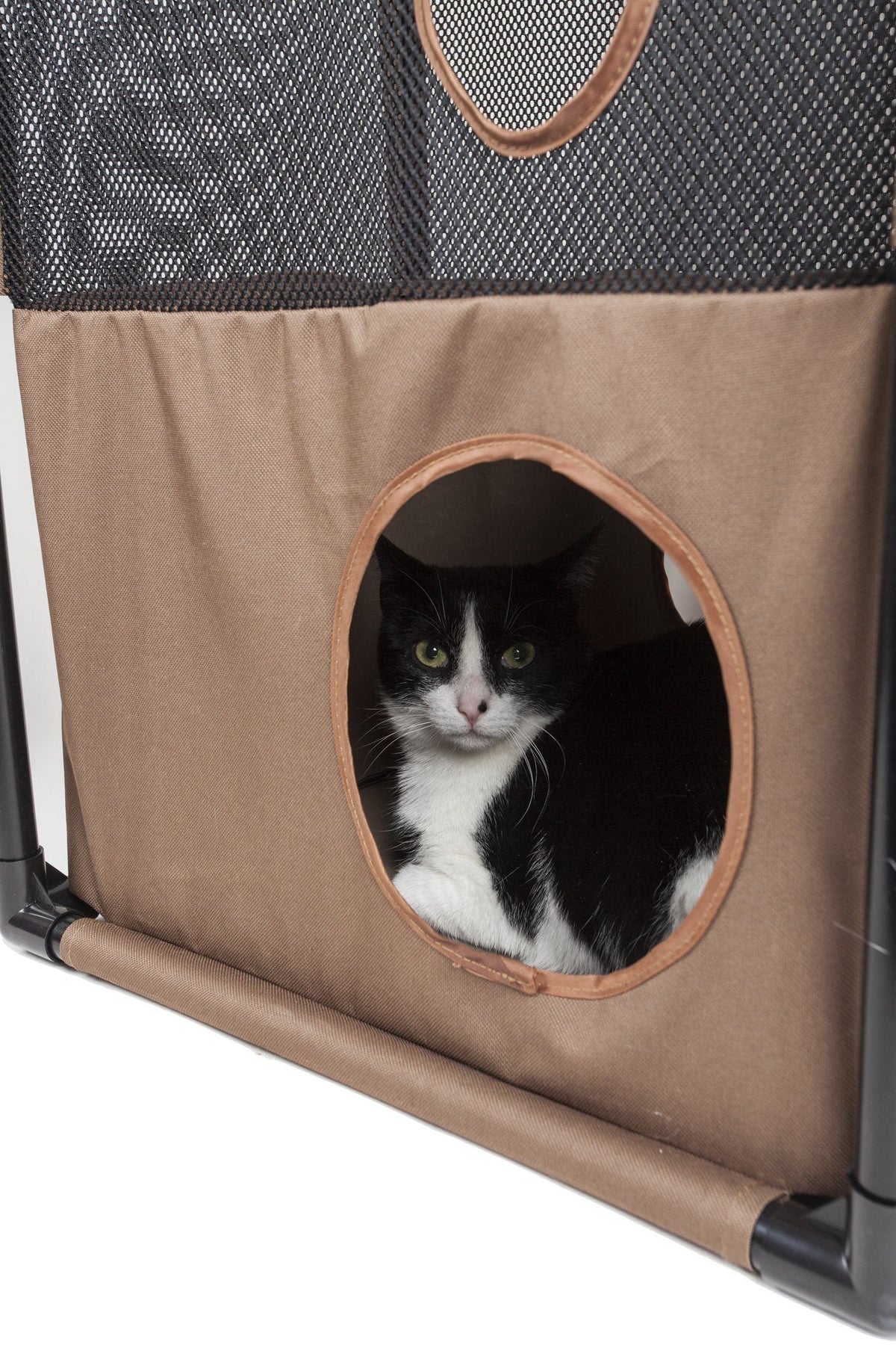 Pet Life ® 'Kitty-Square' Collapsible Travel Interactive Kitty Cat Tree Maze House Lounger Tunnel Lounge