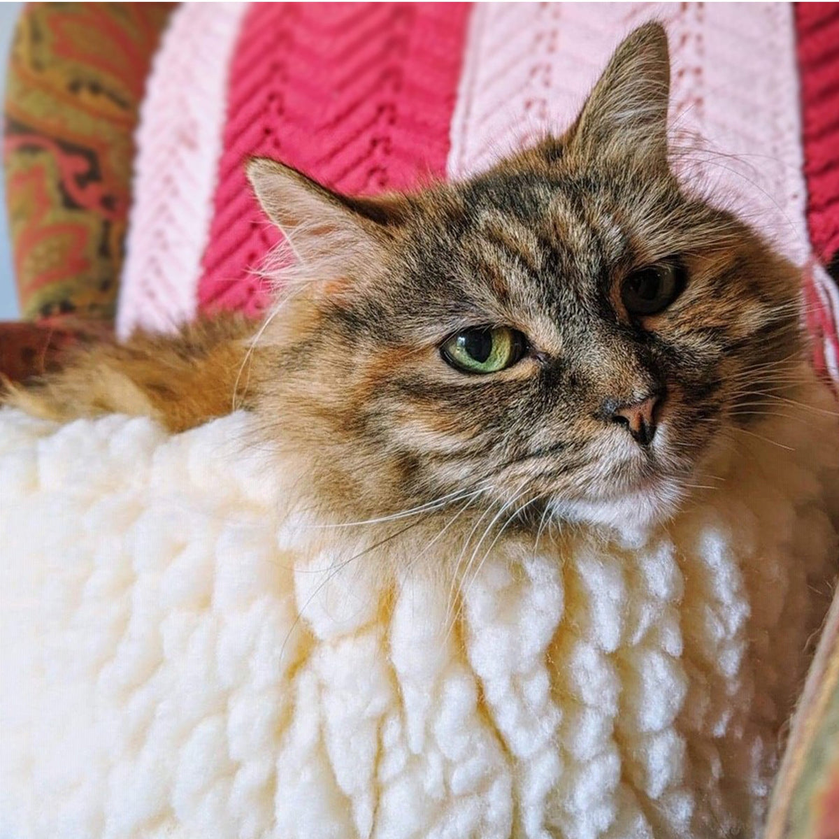 HuggleFleece® HuggleSnuggler™ Cat & Dog Beds